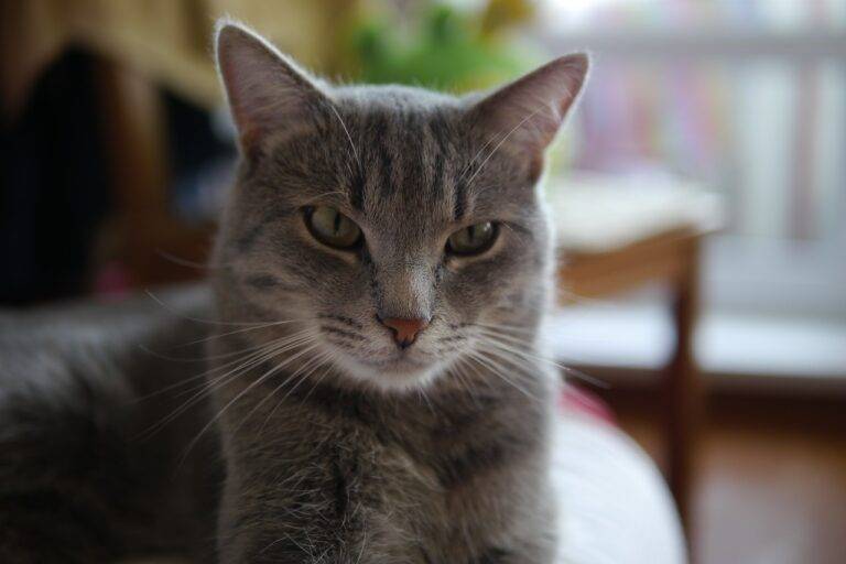 Creating a Sustainable and Eco-Friendly Garage