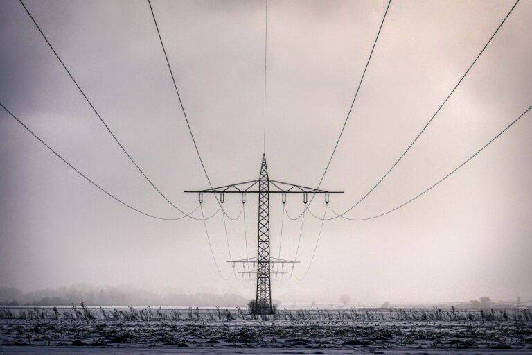 The Future of Tech in Healthcare: Remote Monitoring and Telehealth